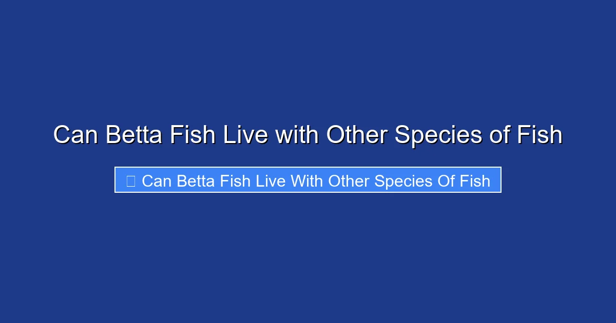 Can Betta Fish Live with Other Species of Fish