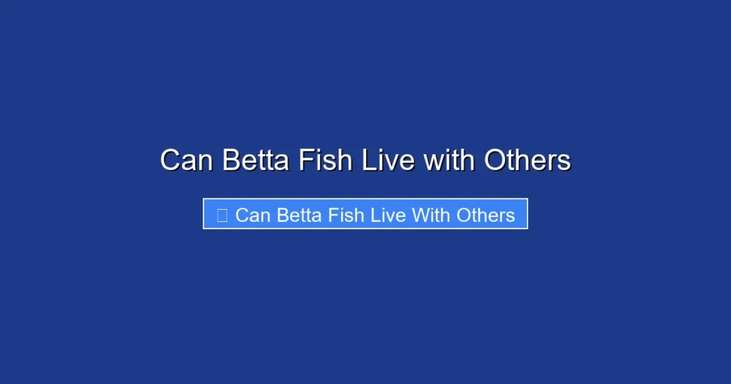 Can Betta Fish Live with Others