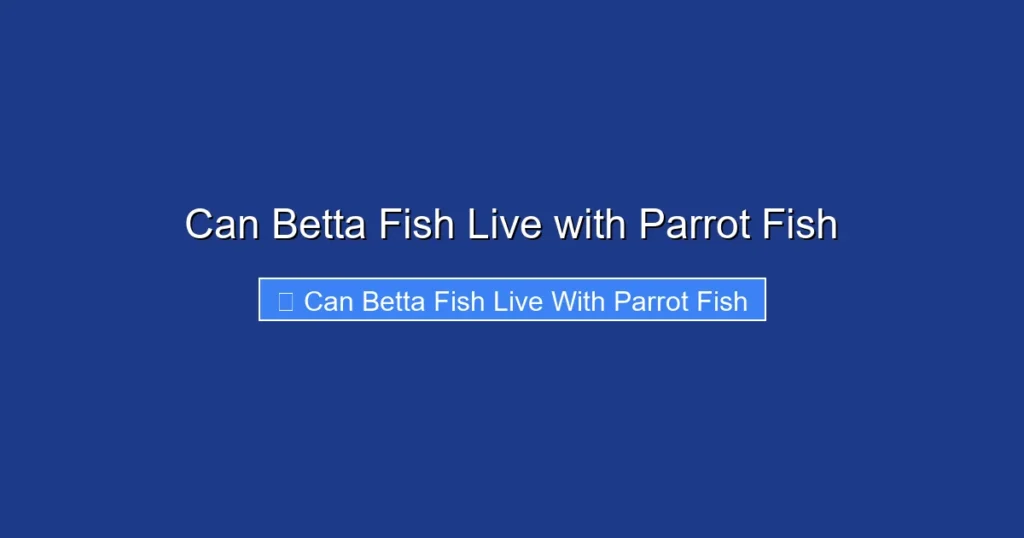 Can Betta Fish Live with Parrot Fish