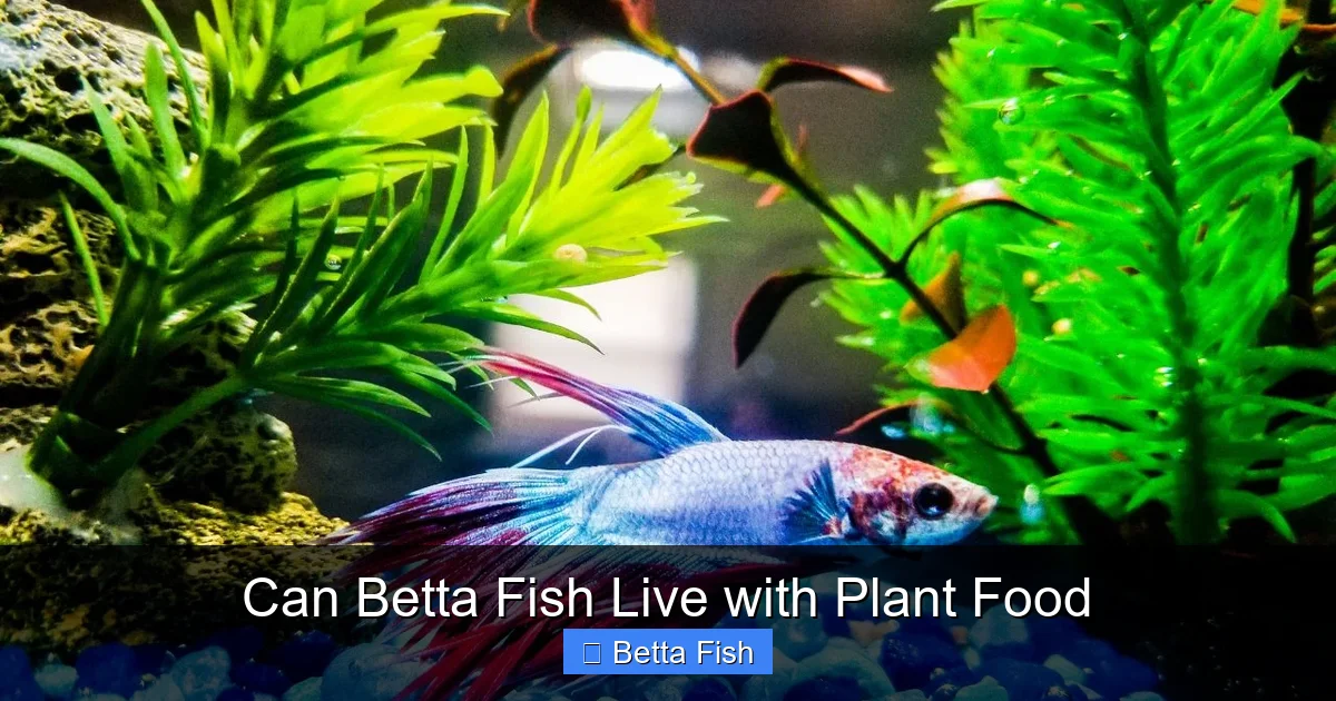 Can Betta Fish Live with Plant Food