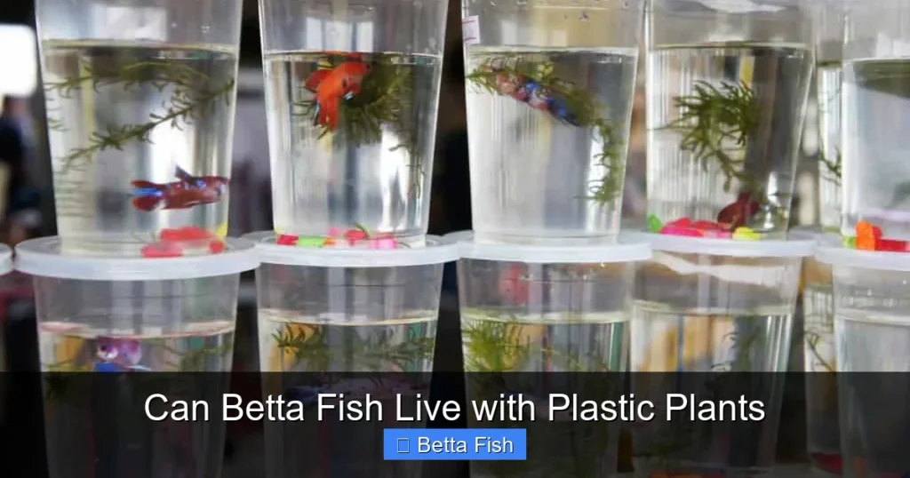Can Betta Fish Live with Plastic Plants