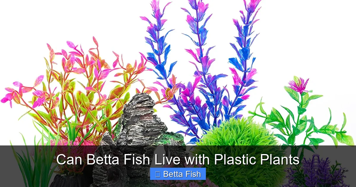 Can Betta Fish Live with Plastic Plants
