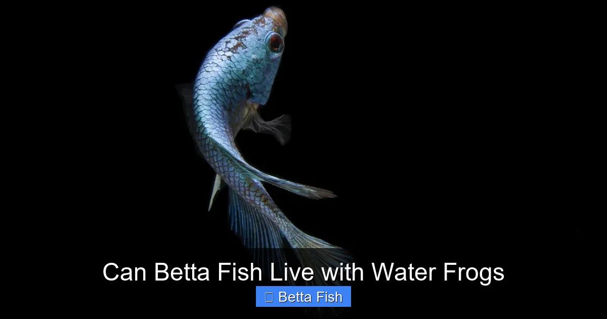 Can Betta Fish Live with Water Frogs