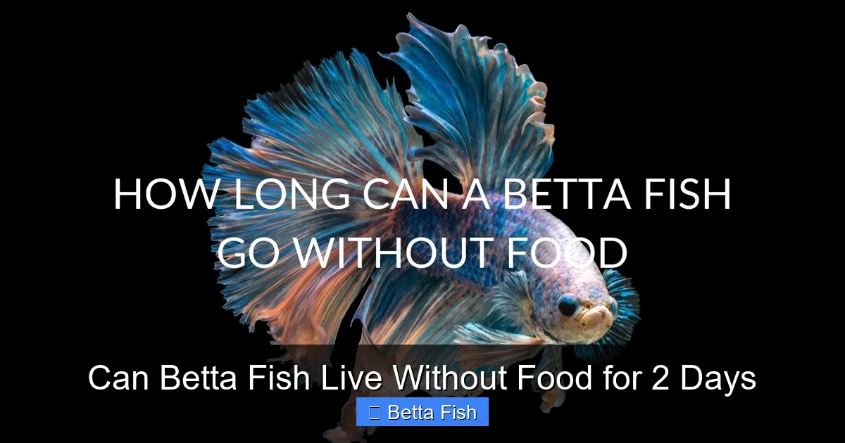 Can Betta Fish Live Without Food for 2 Days