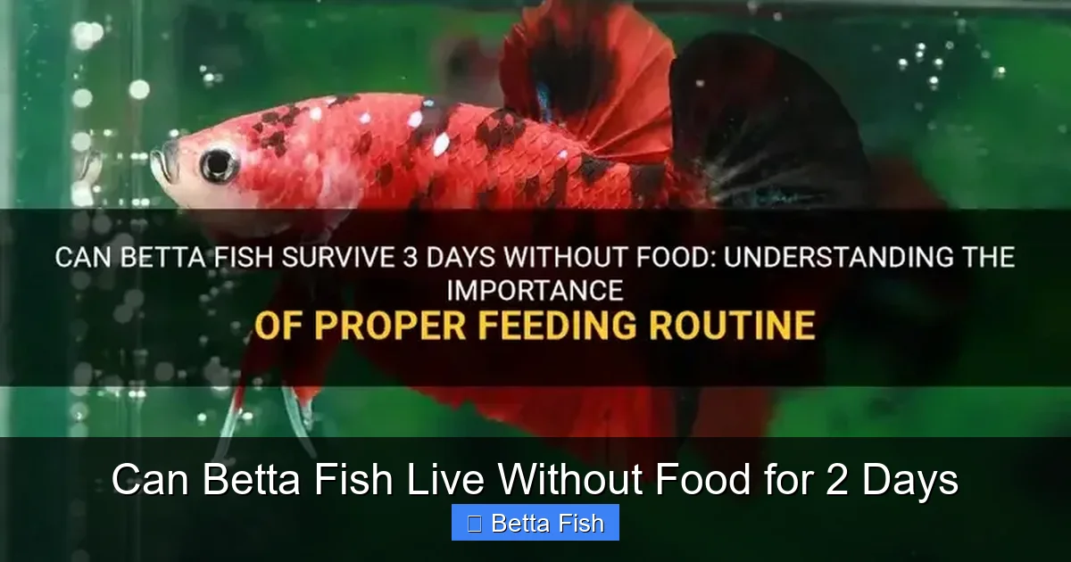 Can Betta Fish Live Without Food for 2 Days