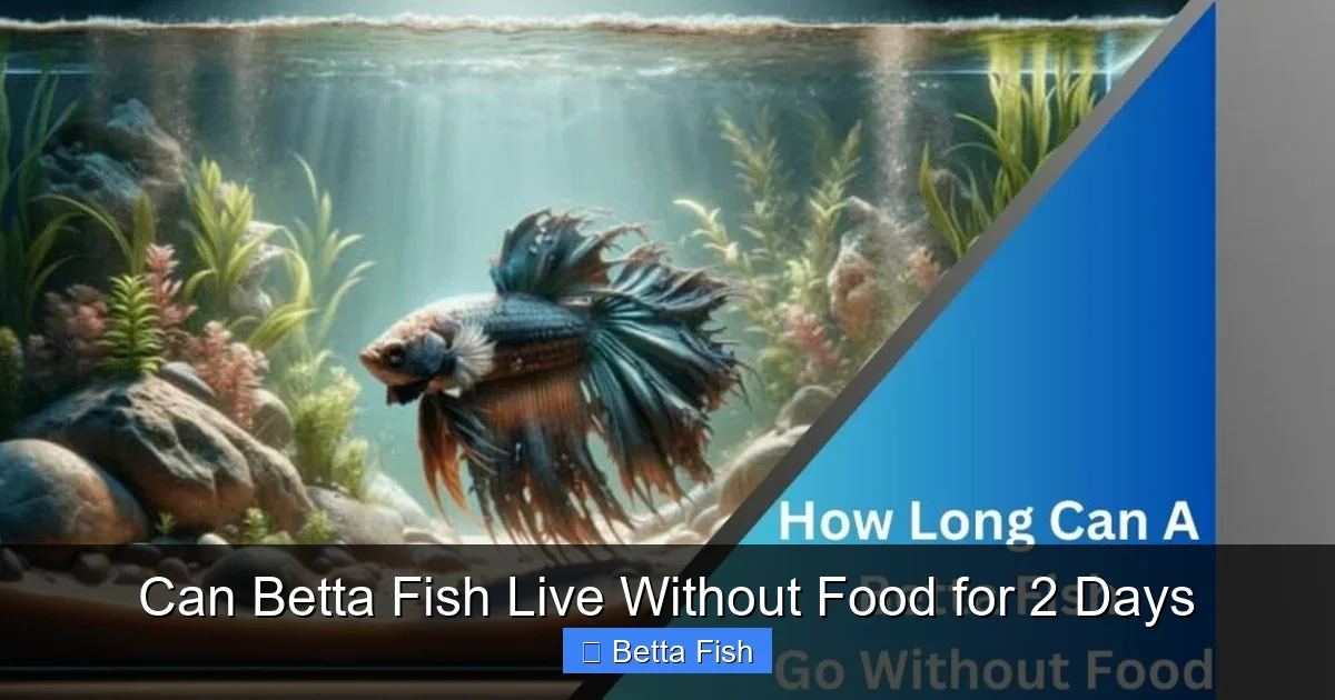 Can Betta Fish Live Without Food for 2 Days