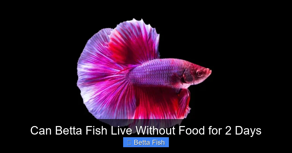 Can Betta Fish Live Without Food for 2 Days