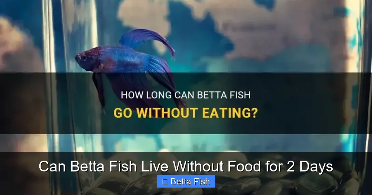 Can Betta Fish Live Without Food for 2 Days