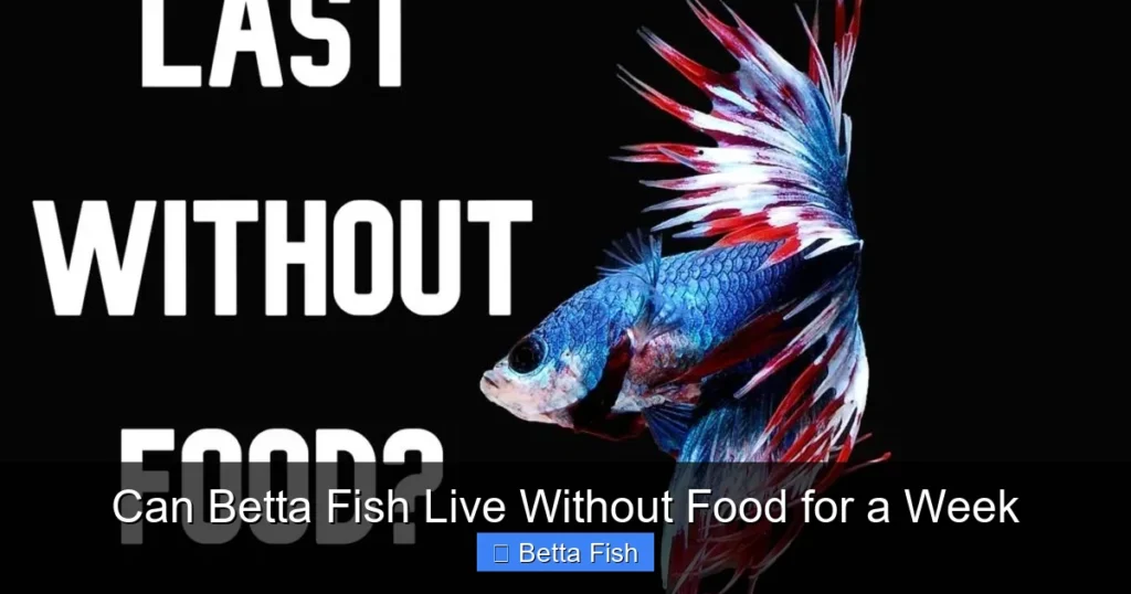 Can Betta Fish Live Without Food for a Week