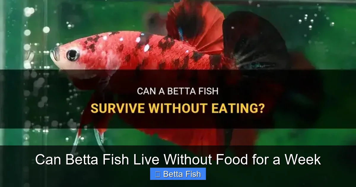 Can Betta Fish Live Without Food for a Week