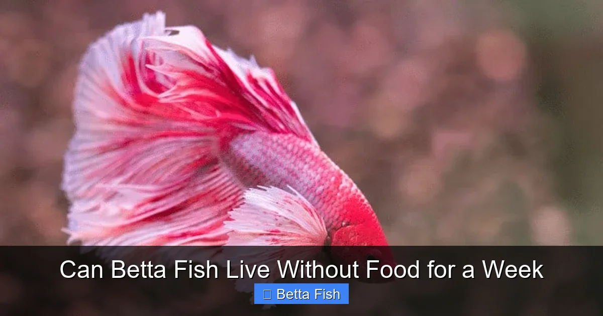 Can Betta Fish Live Without Food for a Week