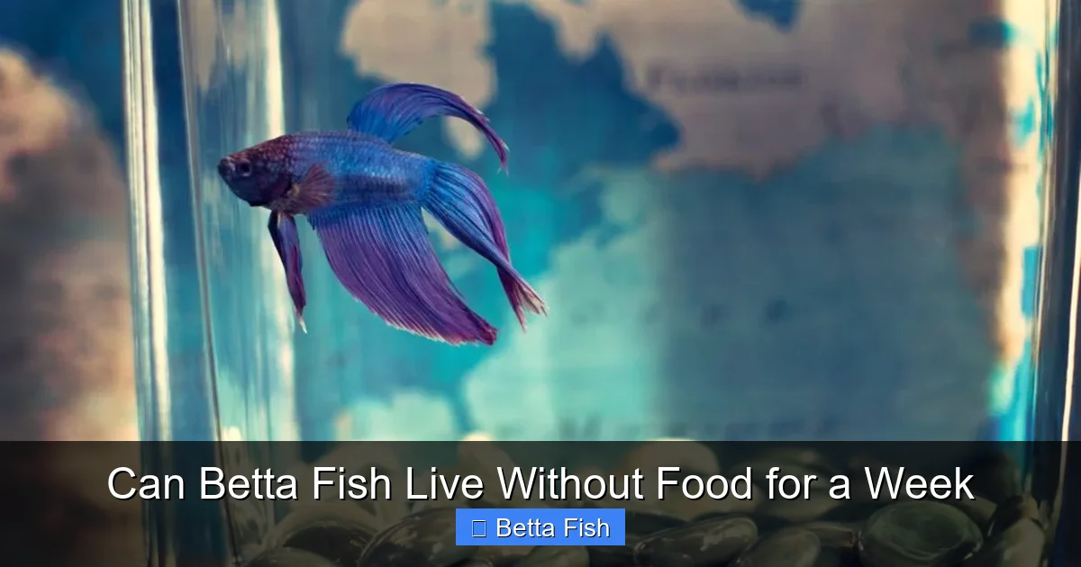Can Betta Fish Live Without Food for a Week
