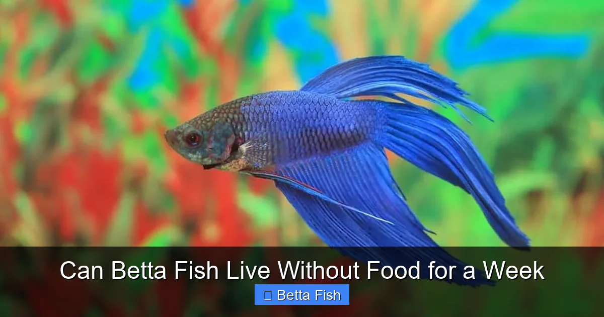 Can Betta Fish Live Without Food for a Week