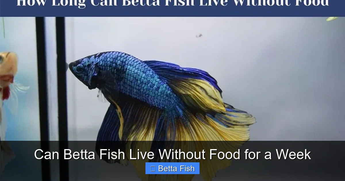 Can Betta Fish Live Without Food for a Week