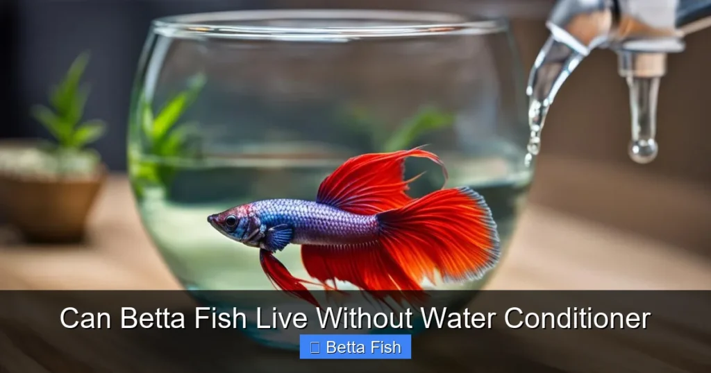 Can Betta Fish Live Without Water Conditioner