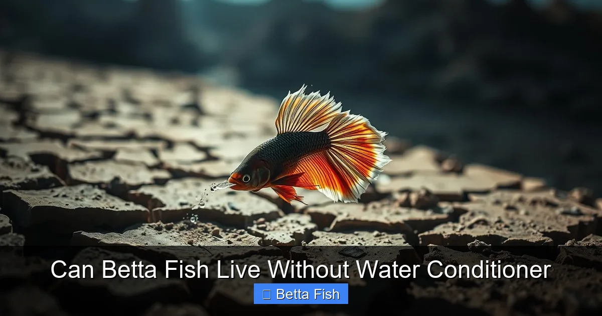 Can Betta Fish Live Without Water Conditioner