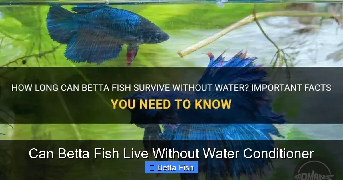 Can Betta Fish Live Without Water Conditioner