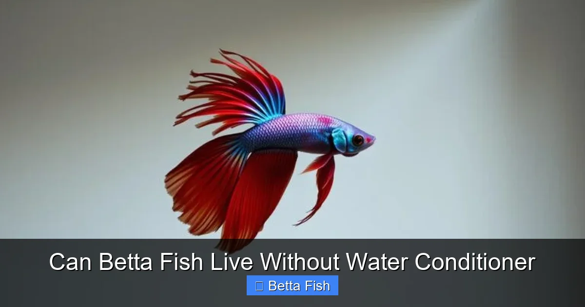 Can Betta Fish Live Without Water Conditioner