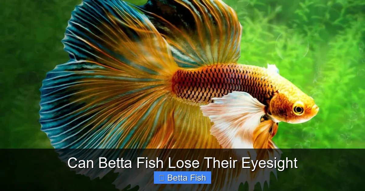 Can Betta Fish Lose Their Eyesight