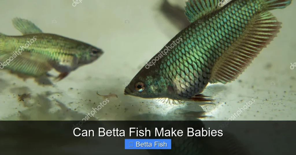 Can Betta Fish Make Babies