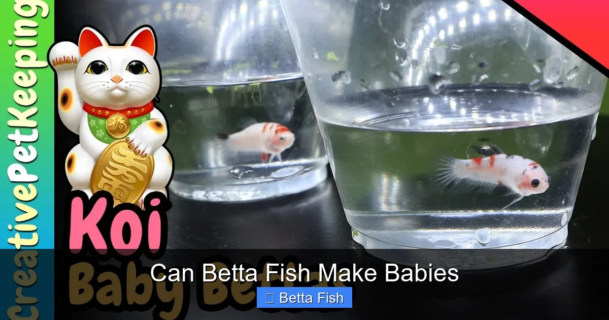 Can Betta Fish Make Babies