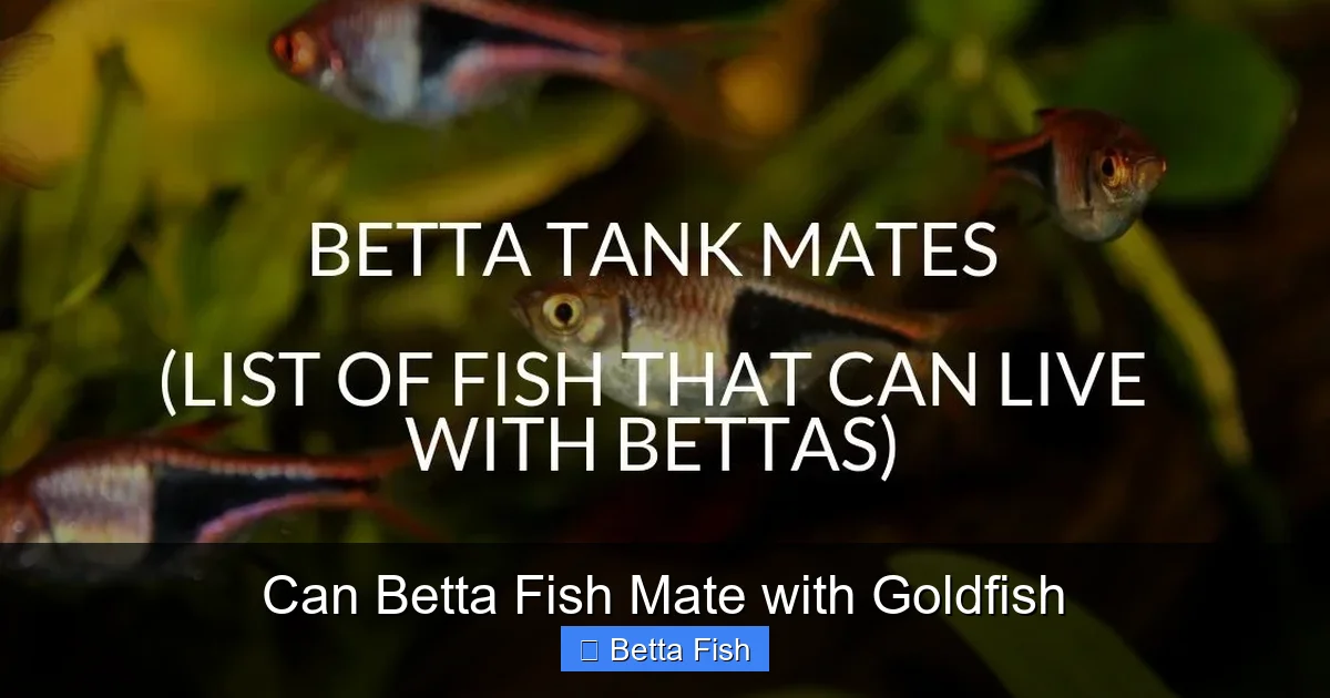 Can Betta Fish Mate with Goldfish