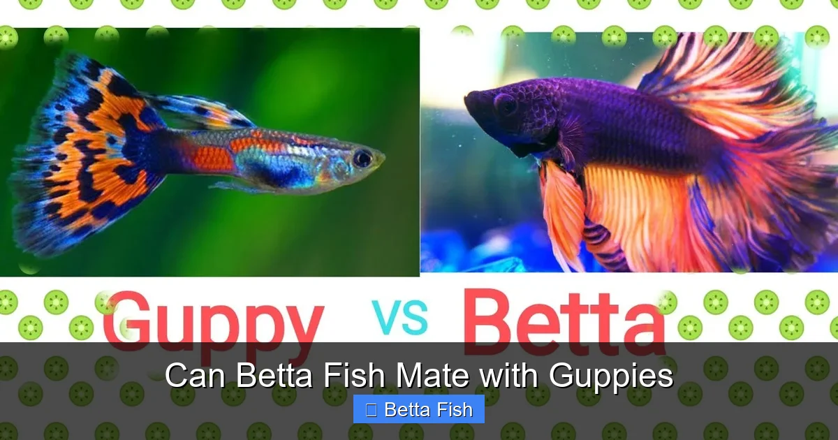 Can Betta Fish Mate with Guppies