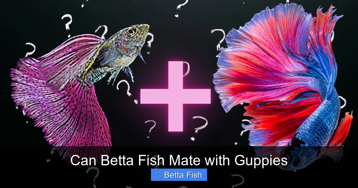 Can Betta Fish Mate with Guppies