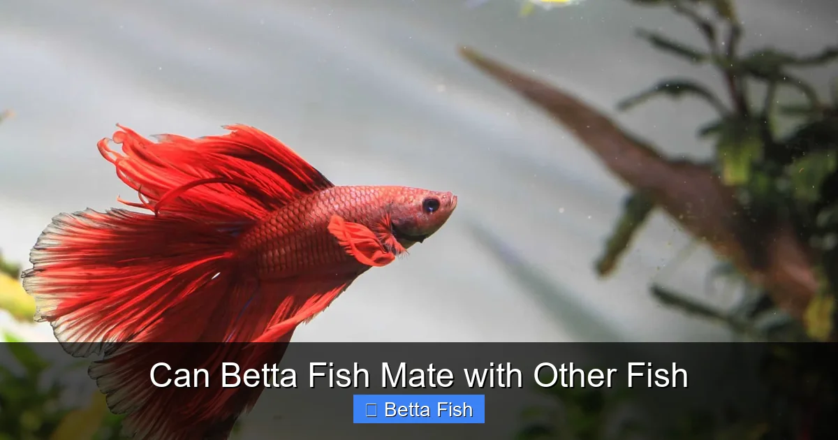 Can Betta Fish Mate with Other Fish
