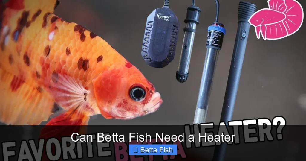 Can Betta Fish Need a Heater