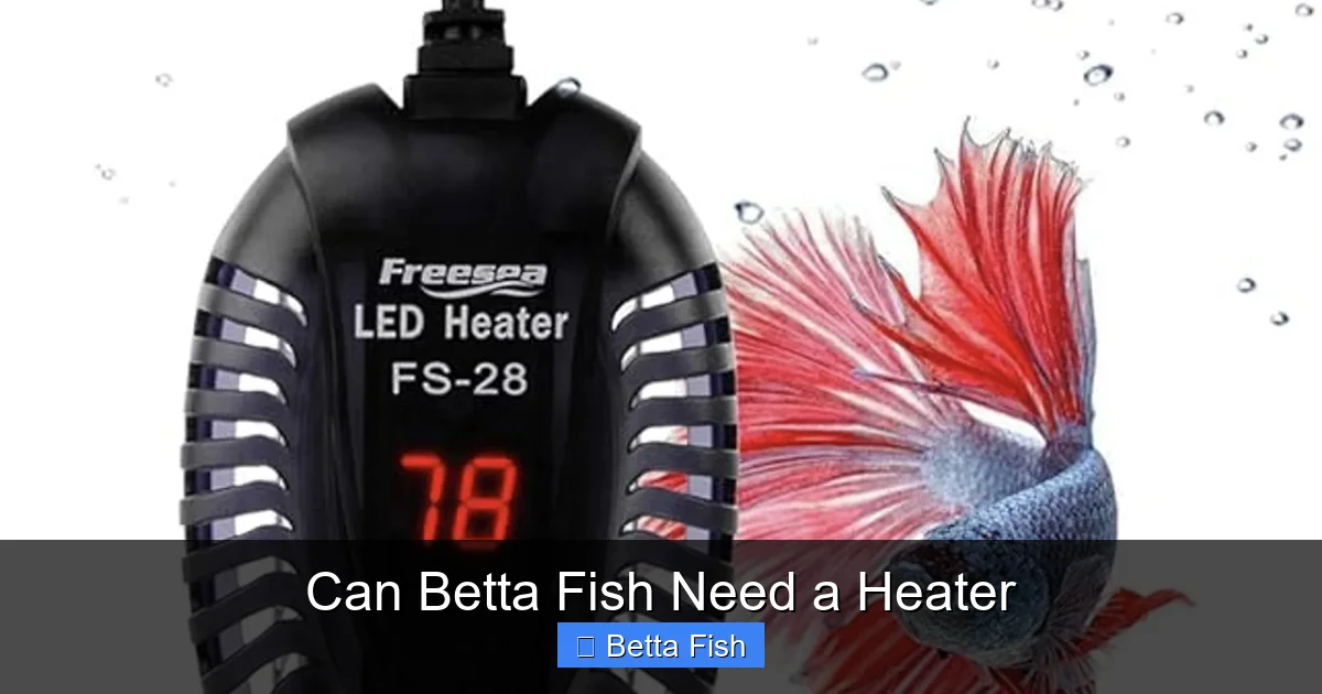 Can Betta Fish Need a Heater