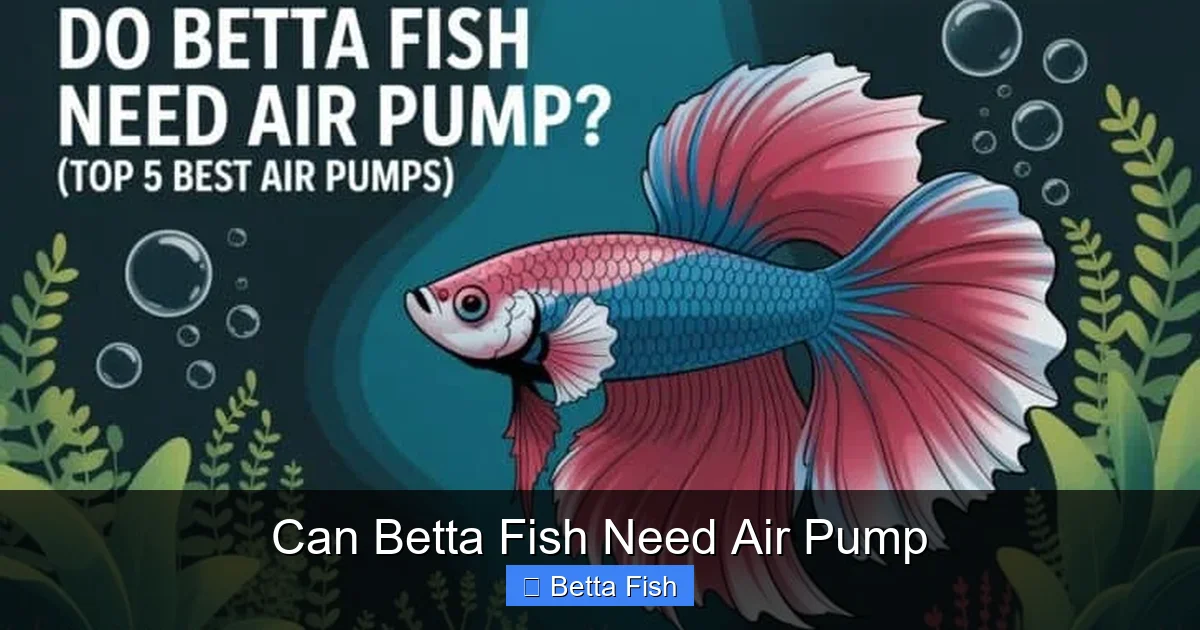 Can Betta Fish Need Air Pump