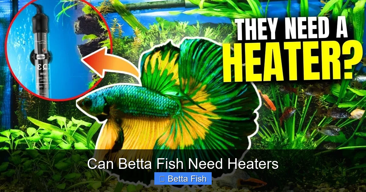 Can Betta Fish Need Heaters