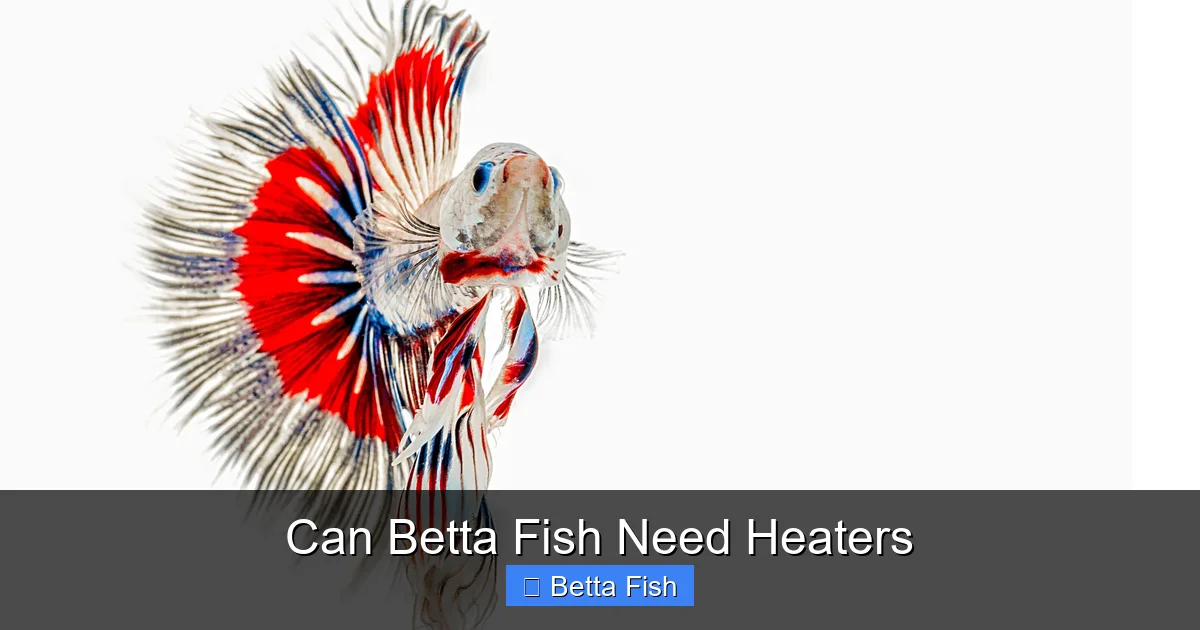 Can Betta Fish Need Heaters