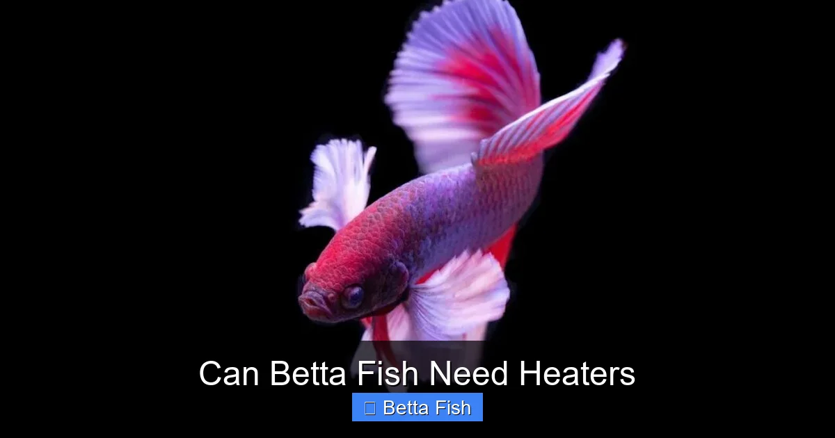Can Betta Fish Need Heaters