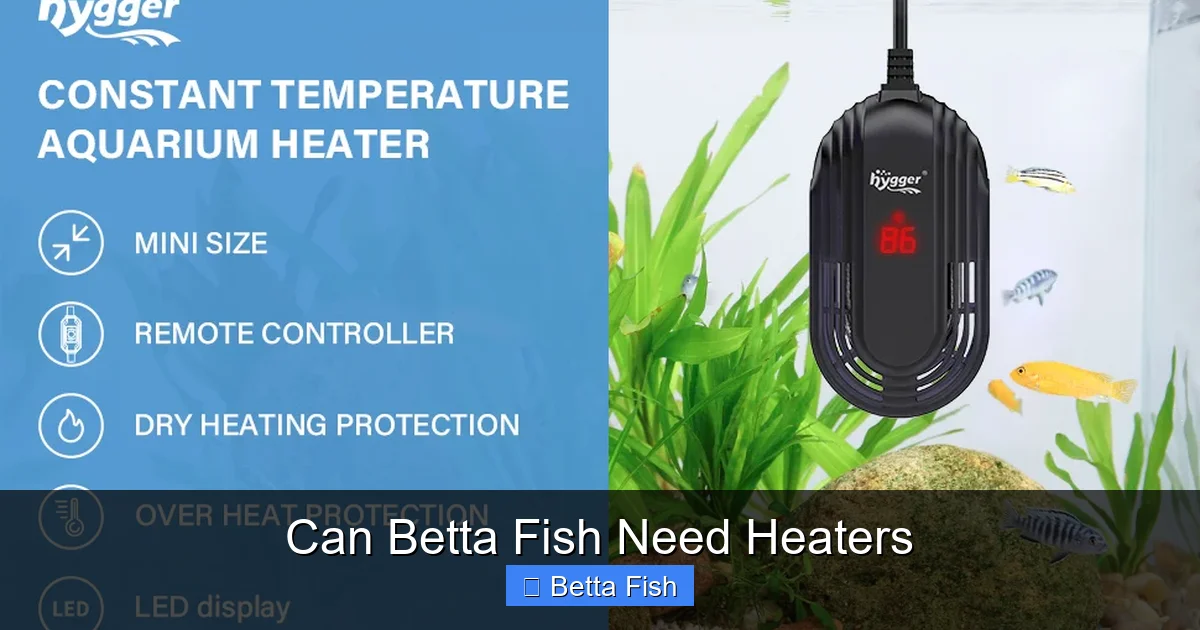 Can Betta Fish Need Heaters