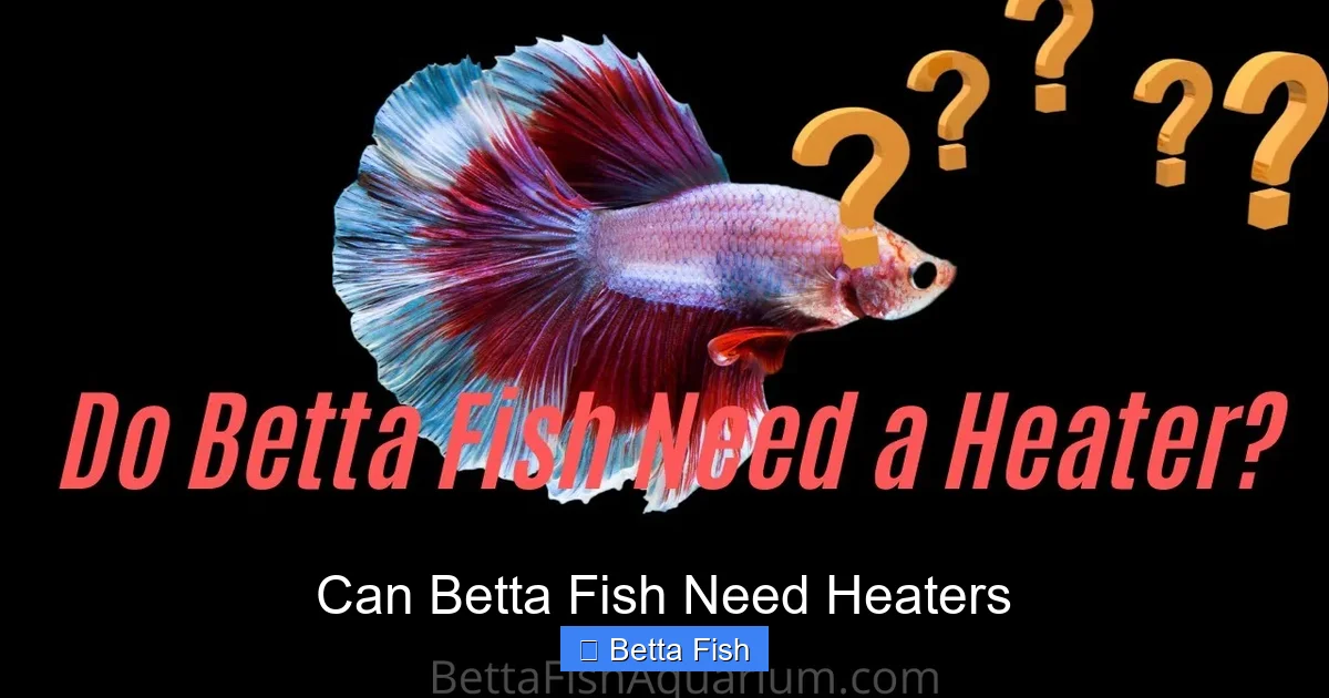Can Betta Fish Need Heaters