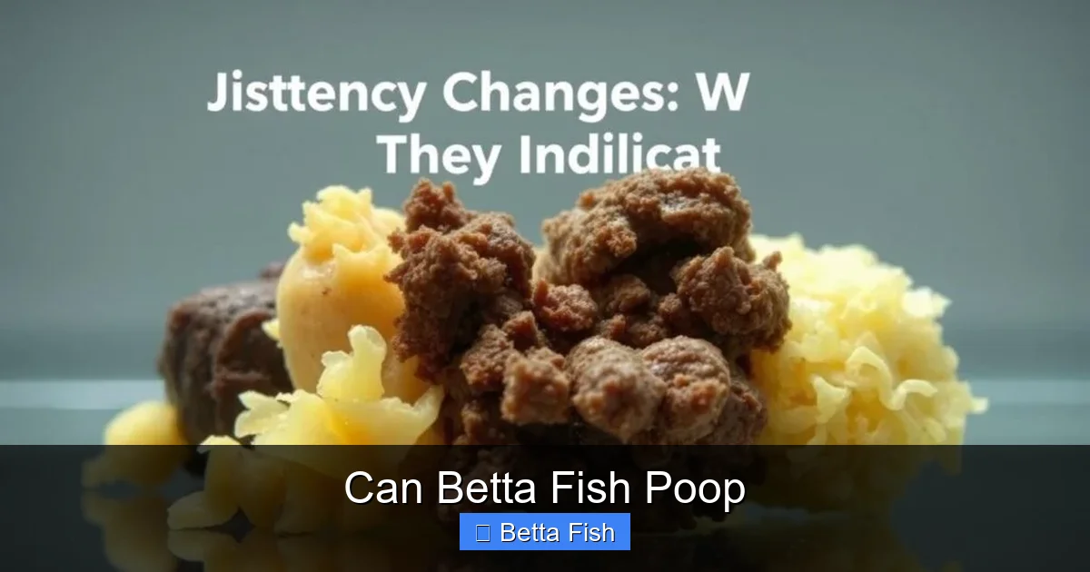 Can Betta Fish Poop
