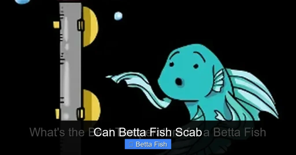 Can Betta Fish Scab