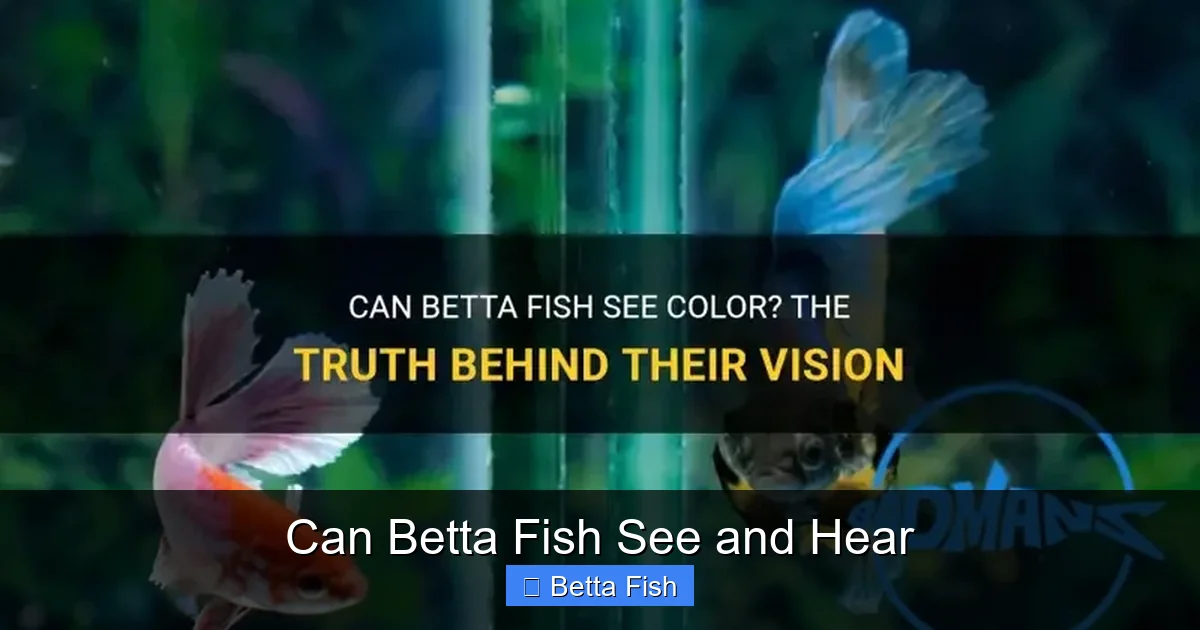 Can Betta Fish See and Hear