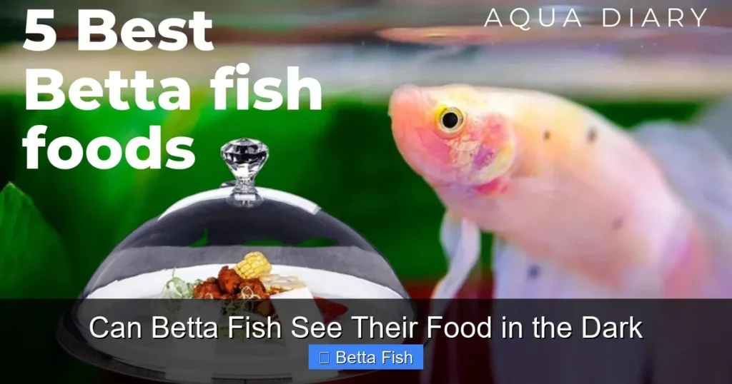 Can Betta Fish See Their Food in the Dark