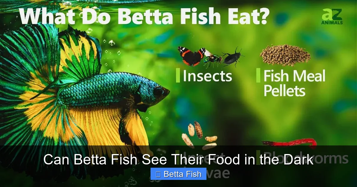 Can Betta Fish See Their Food in the Dark