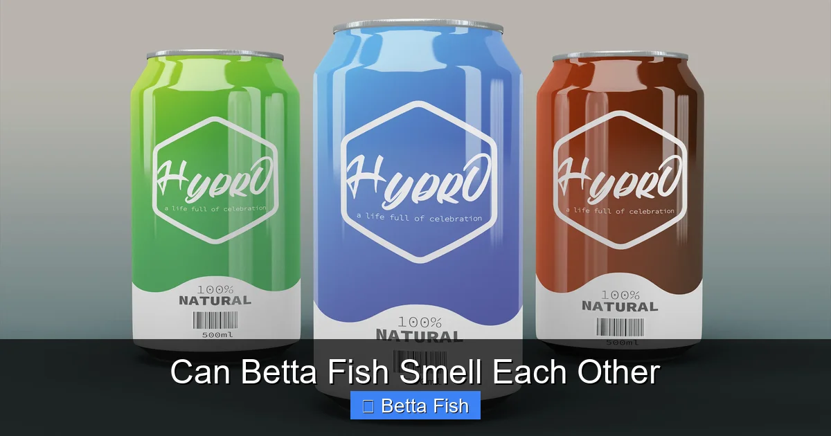 Can Betta Fish Smell Each Other