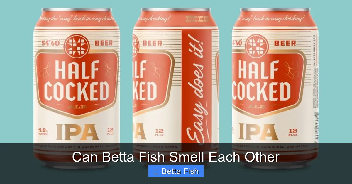 Can Betta Fish Smell Each Other