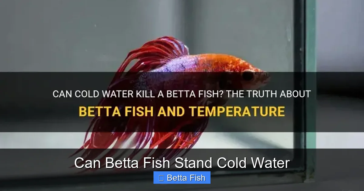 Can Betta Fish Stand Cold Water