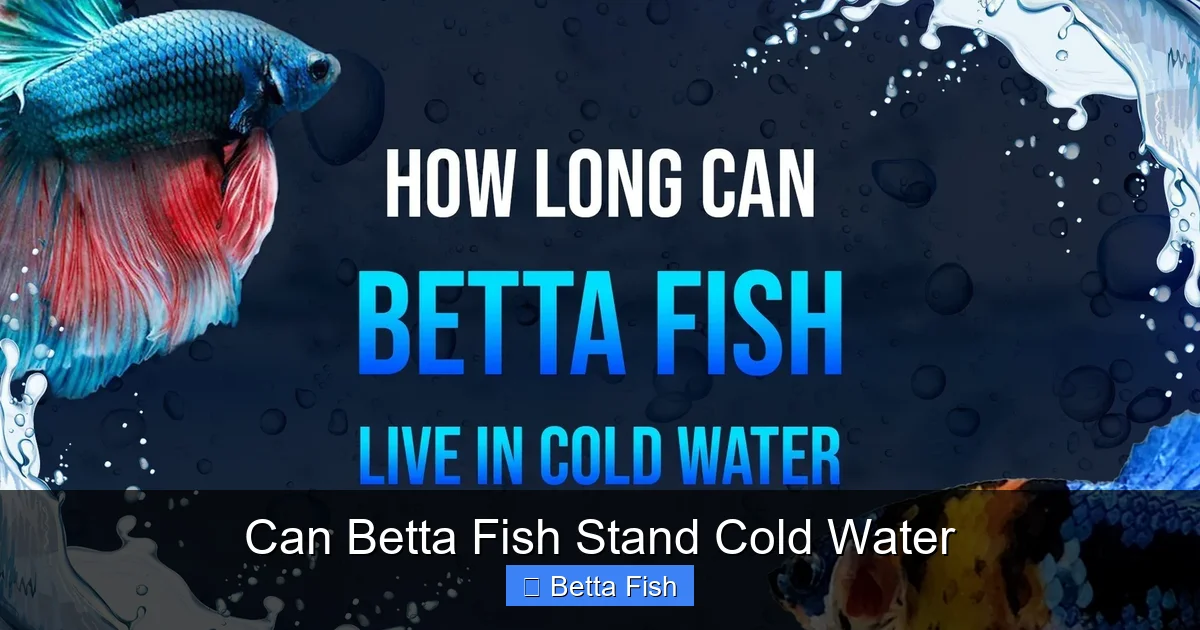 Can Betta Fish Stand Cold Water