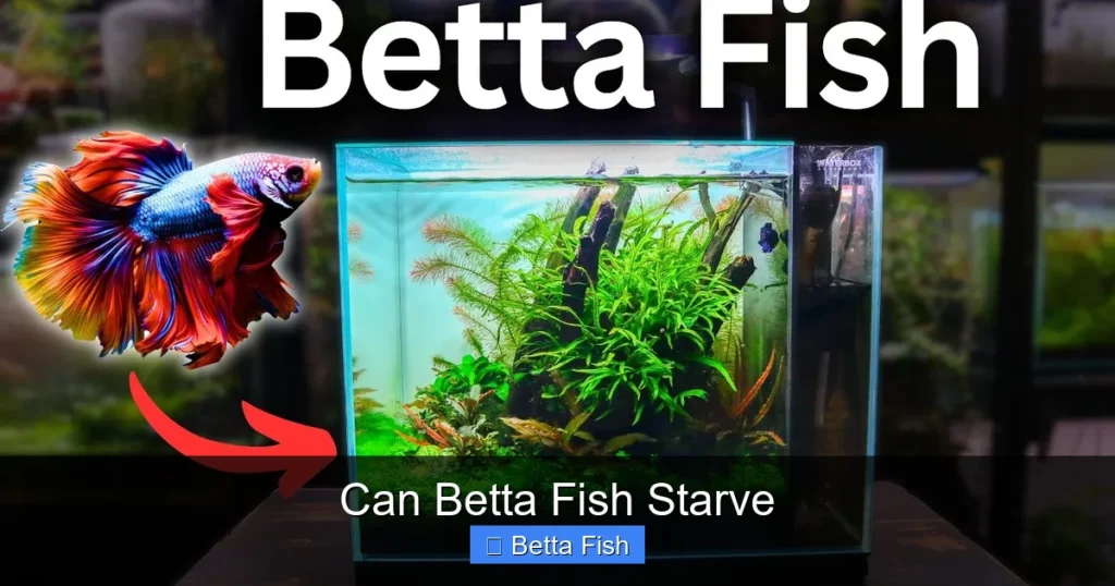 Can Betta Fish Starve