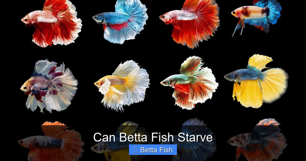 Can Betta Fish Starve