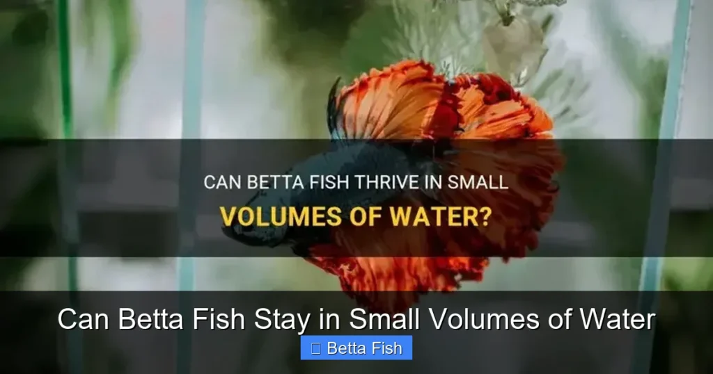 Can Betta Fish Stay in Small Volumes of Water