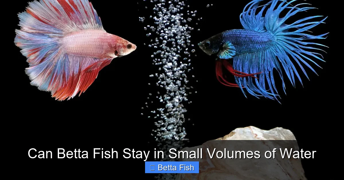 Can Betta Fish Stay in Small Volumes of Water